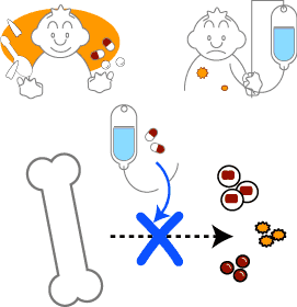 大腸癌の化学療法